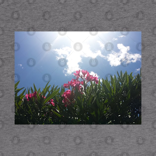 Pink Flowers And Sky by BlakCircleGirl